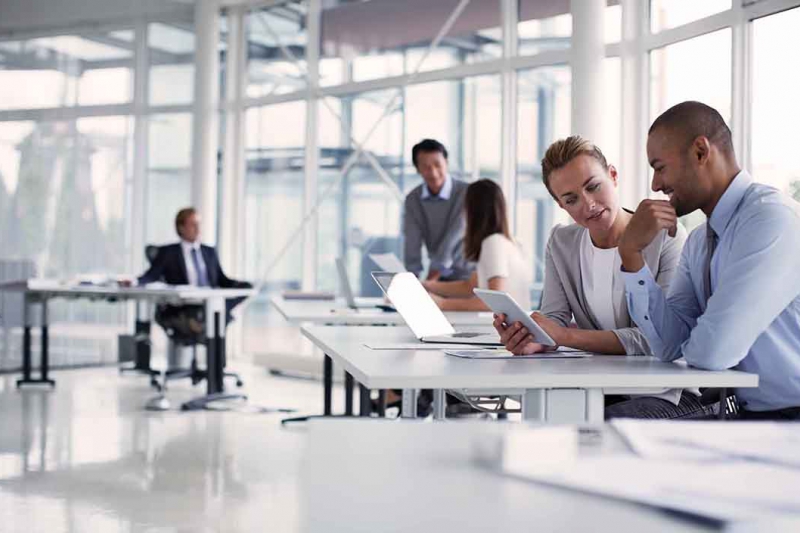 PPA's & Laudos diversos